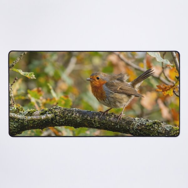 Item preview, Robin perched on a branch with wind in its feathers. designed and sold by Malisa345.