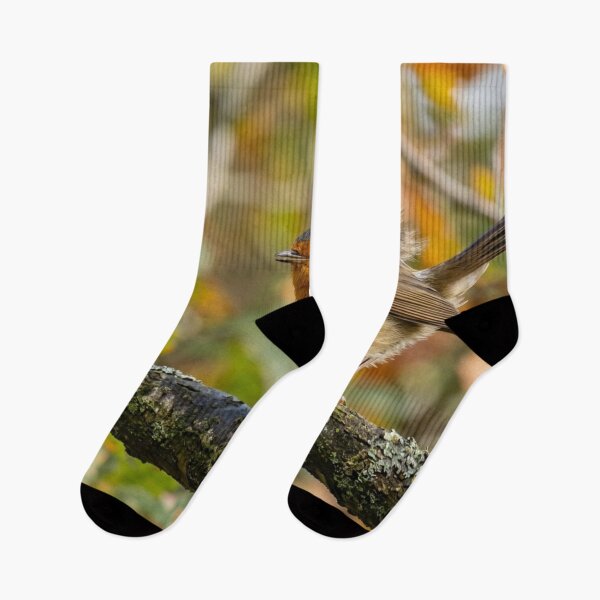 Item preview, Robin perched on a branch with wind in its feathers. designed and sold by Malisa345.
