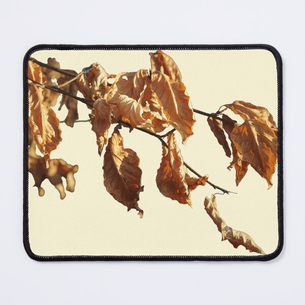 Item preview, Natural Autumn Branch with Dry Leaves – Detailed Botanical Design designed and sold by busurman.