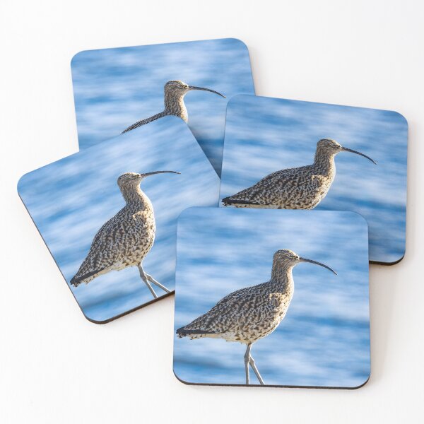 Item preview, Curlew Bird on Coastal Rock – Nature Wildlife Photography designed and sold by Billium Halder.