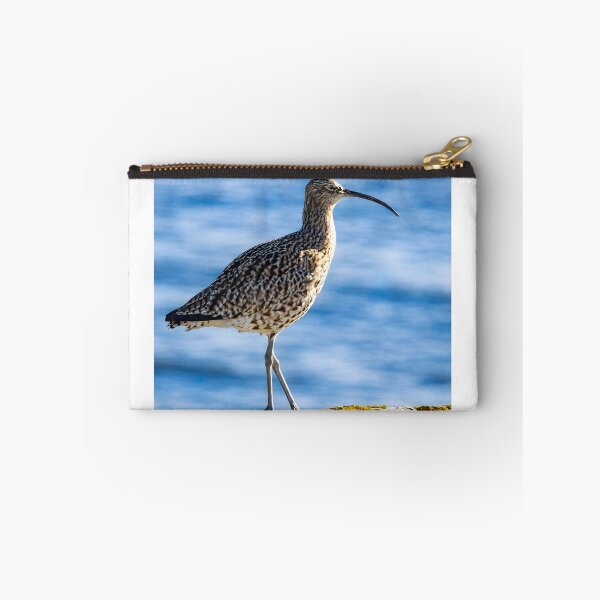 Item preview, Curlew Bird on Coastal Rock – Nature Wildlife Photography designed and sold by Billium Halder.