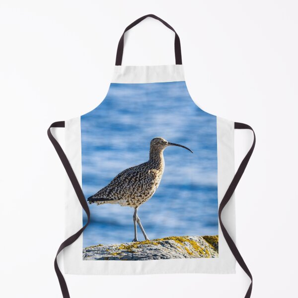 Item preview, Curlew Bird on Coastal Rock – Nature Wildlife Photography designed and sold by Billium Halder.