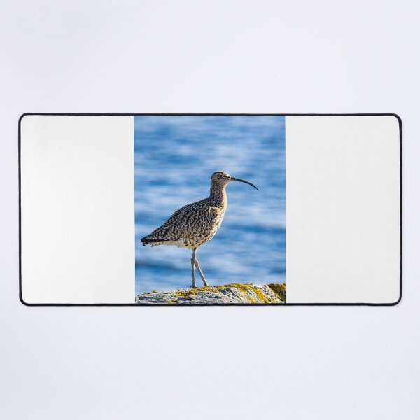 Item preview, Curlew Bird on Coastal Rock – Nature Wildlife Photography designed and sold by Billium Halder.