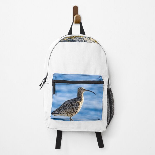 Item preview, Curlew Bird on Coastal Rock – Nature Wildlife Photography designed and sold by Billium Halder.