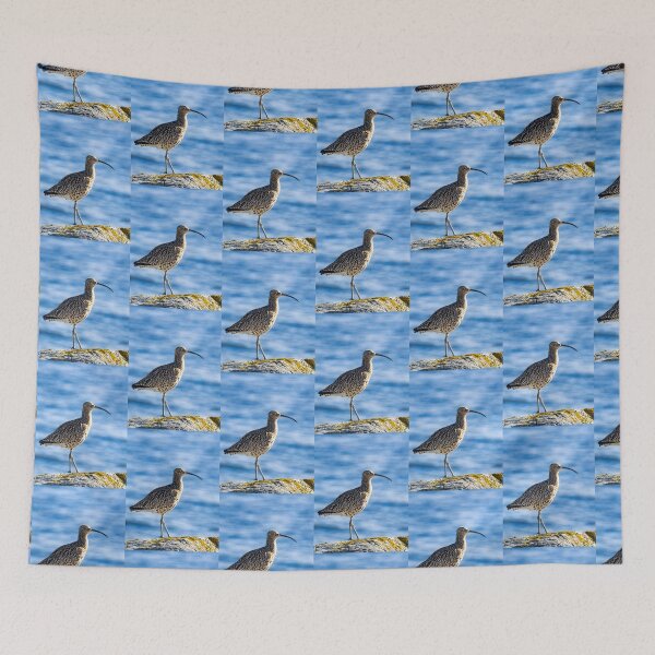 Item preview, Curlew Bird on Coastal Rock – Nature Wildlife Photography designed and sold by Billium Halder.