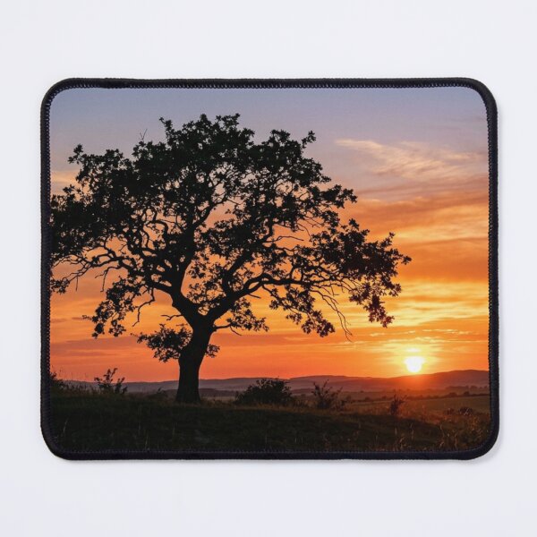 Item preview, Silhouette of a lone tree at sunset. designed and sold by Malisa345.