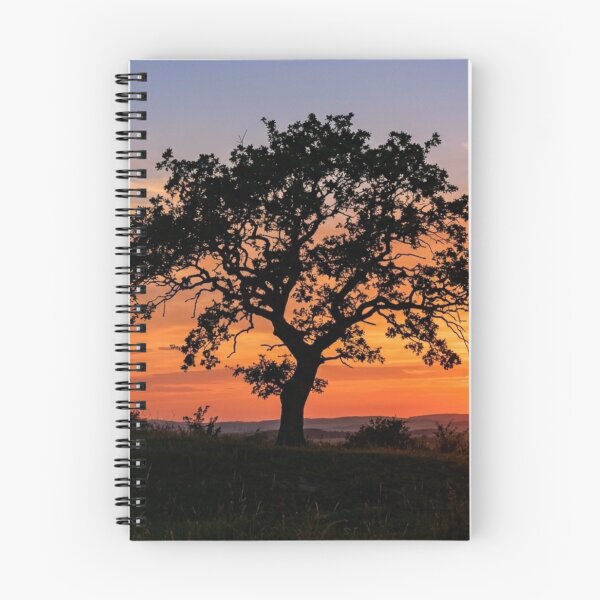 Item preview, Silhouette of a lone tree at sunset. designed and sold by Malisa345.