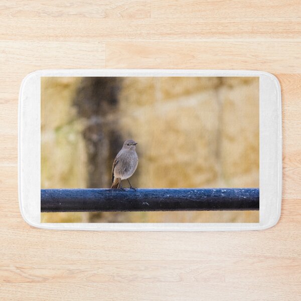 Item preview, Small Brown Bird Perched on Black Metal Rail Against Soft Warm Stone Background designed and sold by Nmallia.