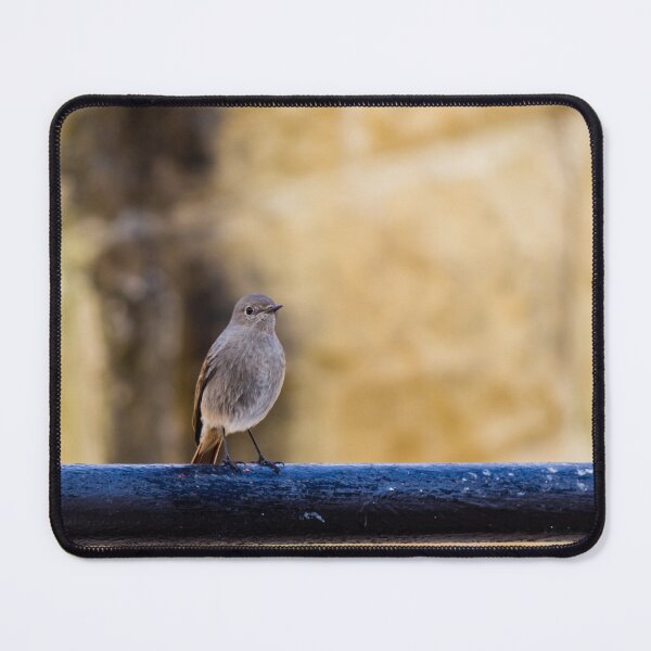 Item preview, Small Brown Bird Perched on Black Metal Rail Against Soft Warm Stone Background designed and sold by Nmallia.