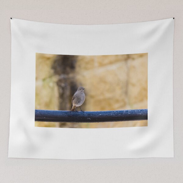 Item preview, Small Brown Bird Perched on Black Metal Rail Against Soft Warm Stone Background designed and sold by Nmallia.