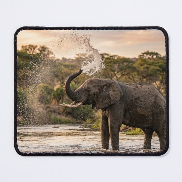 Item preview, Elephant spraying water with its trunk. designed and sold by Malisa345.