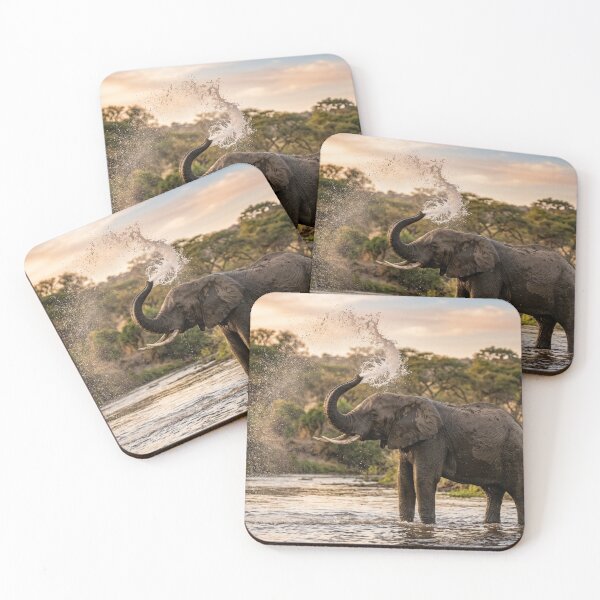 Item preview, Elephant spraying water with its trunk. designed and sold by Malisa345.