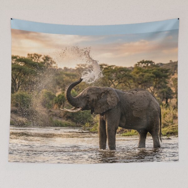 Item preview, Elephant spraying water with its trunk. designed and sold by Malisa345.
