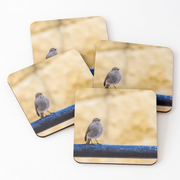 Item preview, Small Brown Bird Perched on Black Metal Rail Against Soft Warm Stone Background designed and sold by Nmallia.