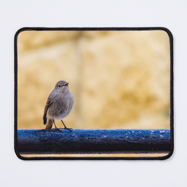 Item preview, Small Brown Bird Perched on Black Metal Rail Against Soft Warm Stone Background designed and sold by Nmallia.