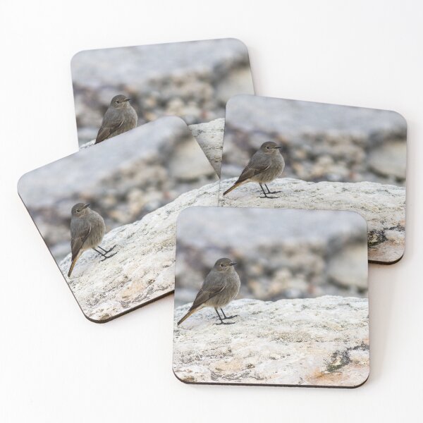 Item preview, Small Gray Bird With Orange Tail Perched On Rock in Peaceful Coastal Habitat designed and sold by Nmallia.