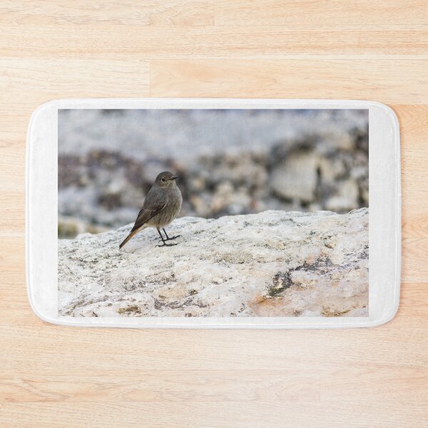 Item preview, Small Gray Bird With Orange Tail Perched On Rock in Peaceful Coastal Habitat designed and sold by Nmallia.