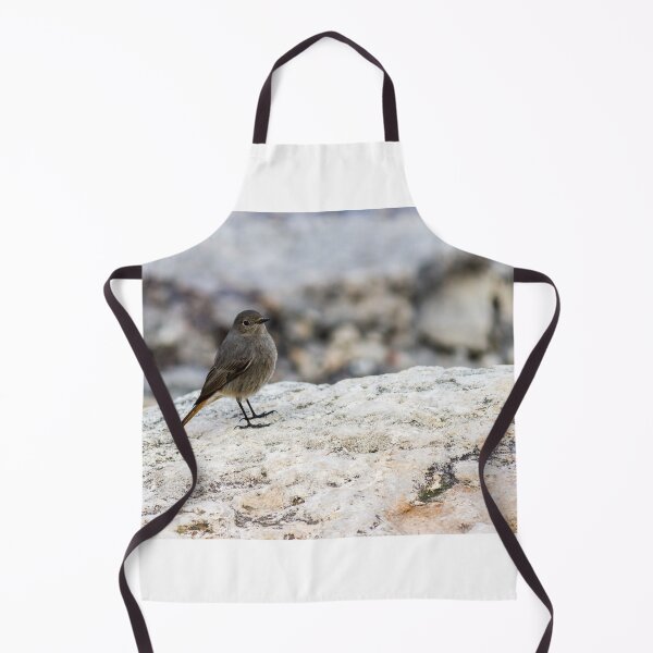 Item preview, Small Gray Bird With Orange Tail Perched On Rock in Peaceful Coastal Habitat designed and sold by Nmallia.