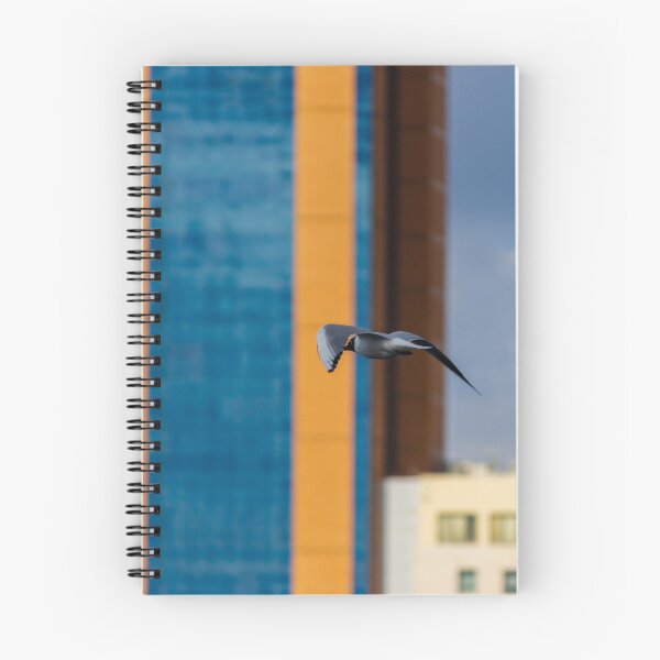 Item preview, Seagull In Flight Over Urban Cityscape With Colorful High-Rise Buildings And Cloudy Sky designed and sold by Nmallia.