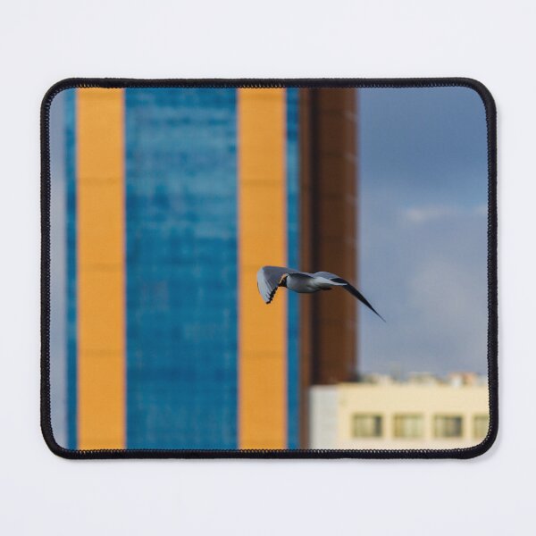Item preview, Seagull In Flight Over Urban Cityscape With Colorful High-Rise Buildings And Cloudy Sky designed and sold by Nmallia.