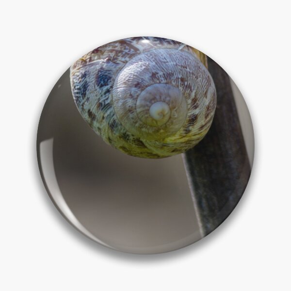 Item preview, Close-Up Macro Of Snail Shell Attached To Stem Showing Spiral Pattern And Natural Texture designed and sold by Nmallia.