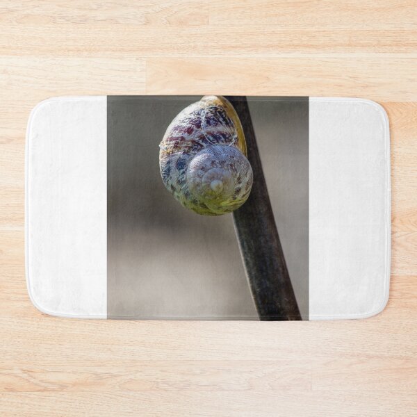 Item preview, Close-Up Macro Of Snail Shell Attached To Stem Showing Spiral Pattern And Natural Texture designed and sold by Nmallia.