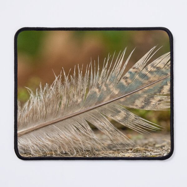 Item preview, Close-up of a bird feather. designed and sold by Malisa345.