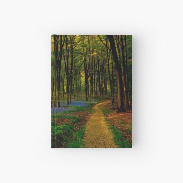 Bluebell woodland path and sunset Hardcover Journal