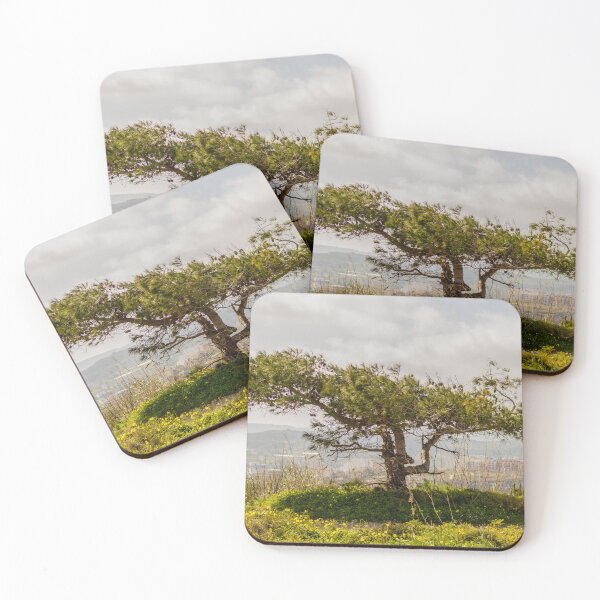 Item preview, Windswept Lone Tree on a Green Hillside Overlooking Distant Town and Valleys Under Cloudy Sky designed and sold by Nmallia.