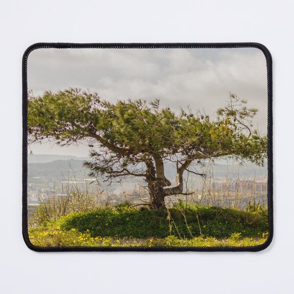 Item preview, Windswept Lone Tree on a Green Hillside Overlooking Distant Town and Valleys Under Cloudy Sky designed and sold by Nmallia.