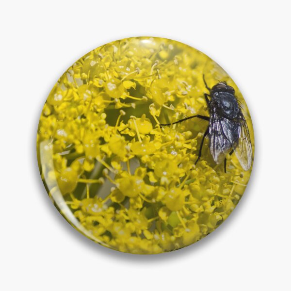 Item preview, Close-Up Macro of a Black Fly Feeding on Bright Yellow Flower Cluster in Summer Garden designed and sold by Nmallia.