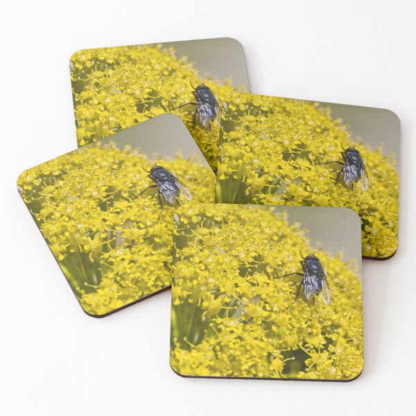 Item preview, Close-Up Macro of a Black Fly Feeding on Bright Yellow Flower Cluster in Summer Garden designed and sold by Nmallia.