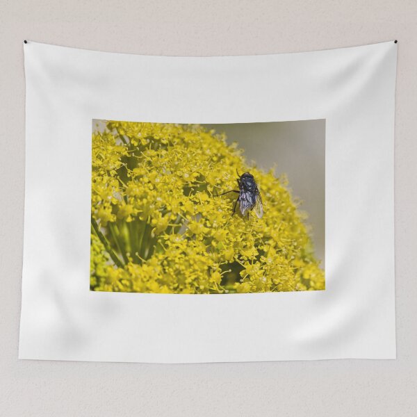 Item preview, Close-Up Macro of a Black Fly Feeding on Bright Yellow Flower Cluster in Summer Garden designed and sold by Nmallia.