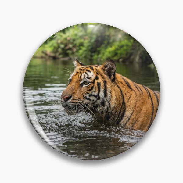 Artikelvorschau, Tiger im Wasser. entworfen und verkauft von Malisa345.