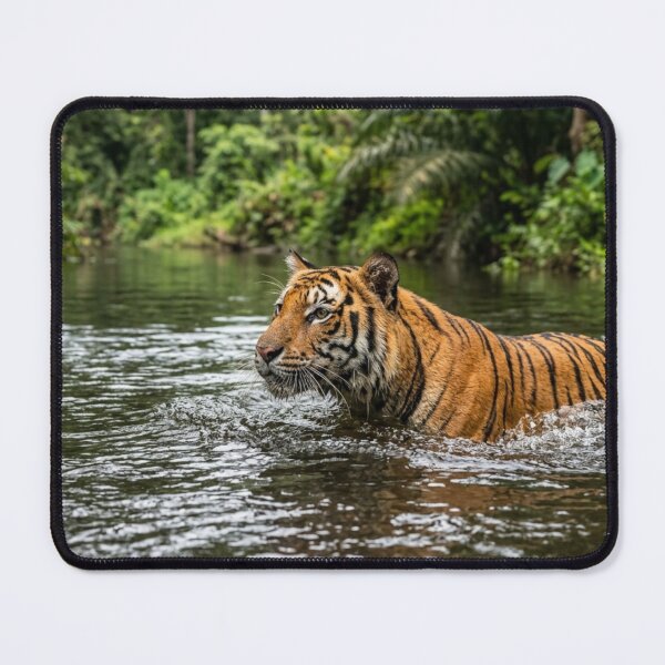 Item preview, Tiger in the water. designed and sold by Malisa345.