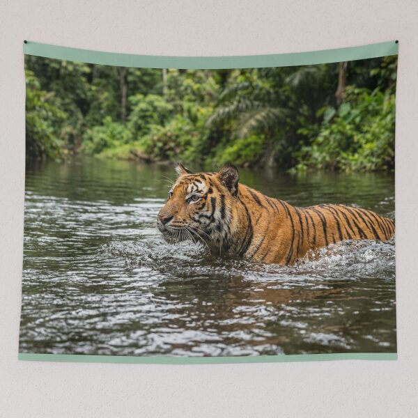 Item preview, Tiger in the water. designed and sold by Malisa345.