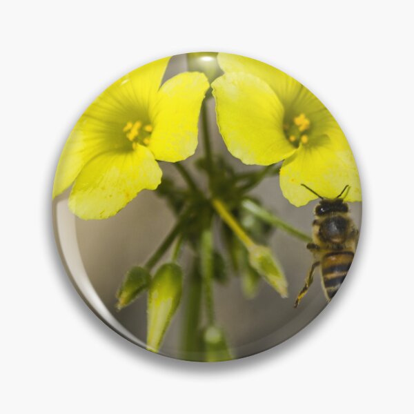 Item preview, Bee Pollinating Bright Yellow Wildflowers Close-Up Macro Photo Of Honeybee On Bloom designed and sold by Nmallia.