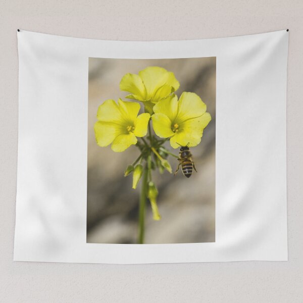 Item preview, Bee Pollinating Bright Yellow Wildflowers Close-Up Macro Photo Of Honeybee On Bloom designed and sold by Nmallia.