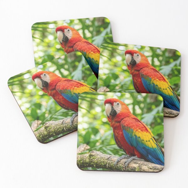 Item preview, Parrot on a branch. designed and sold by Malisa345.