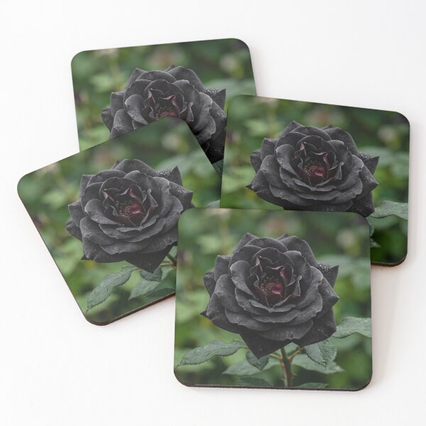 Item preview, Close-up of an open black rose. designed and sold by Malisa345.