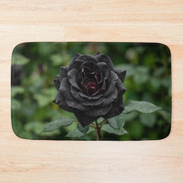 Item preview, Close-up of an open black rose. designed and sold by Malisa345.