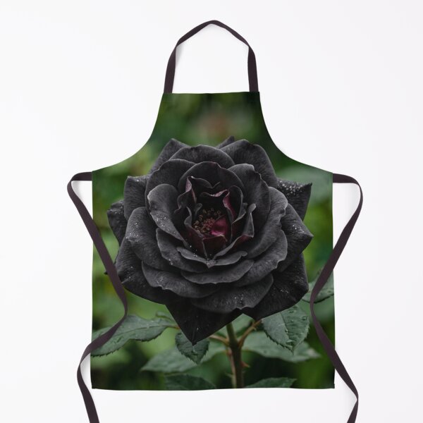 Item preview, Close-up of an open black rose. designed and sold by Malisa345.
