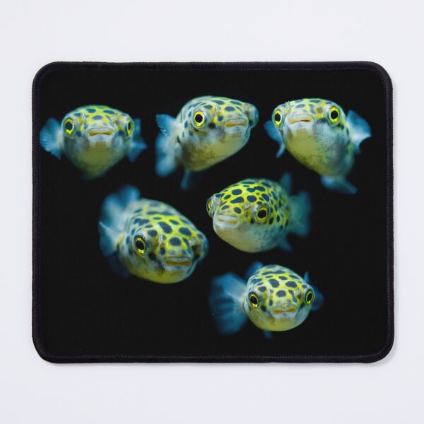 Item preview, Green Spotted Puffer Fish Portrait designed and sold by The Greenhouse Studio.