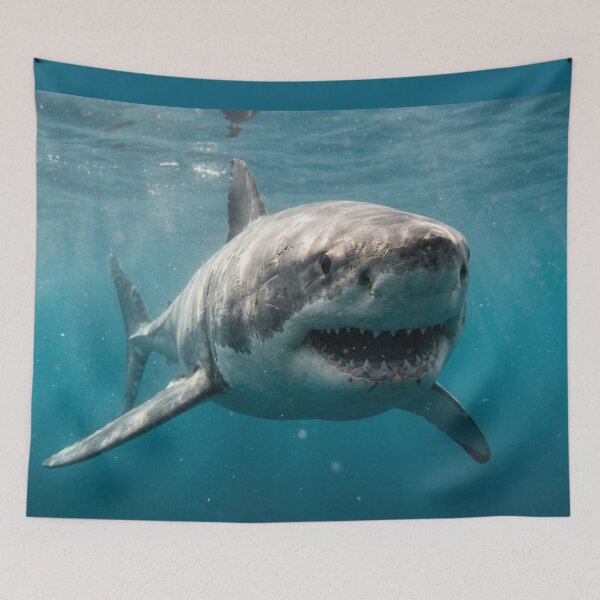 Item preview, Great white shark seen from the front underwater. designed and sold by Malisa345.