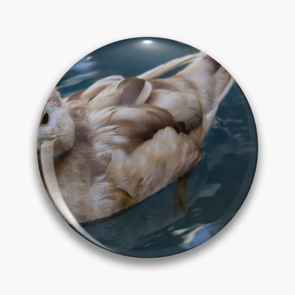 Item preview, Brown Duck Swimming in Calm Reflective Pond Water With Soft Natural Light Close-Up designed and sold by Nmallia.