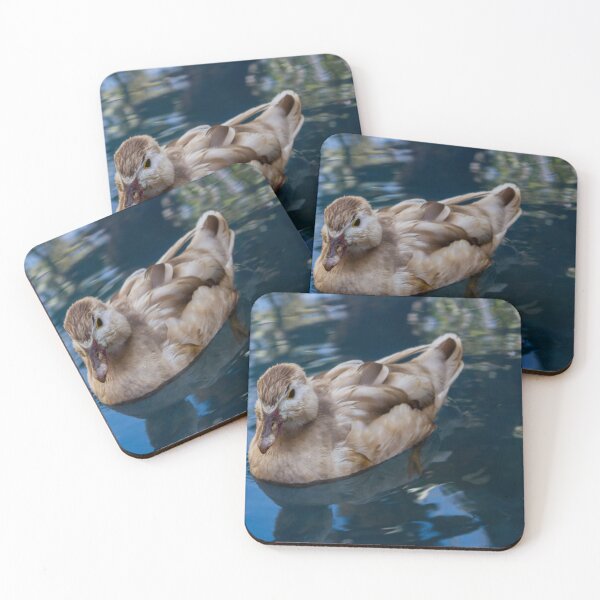 Item preview, Brown Duck Swimming in Calm Reflective Pond Water With Soft Natural Light Close-Up designed and sold by Nmallia.