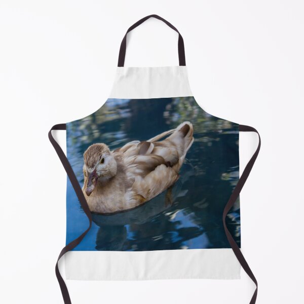 Item preview, Brown Duck Swimming in Calm Reflective Pond Water With Soft Natural Light Close-Up designed and sold by Nmallia.