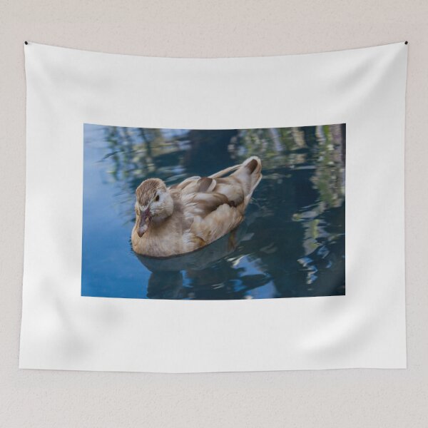 Item preview, Brown Duck Swimming in Calm Reflective Pond Water With Soft Natural Light Close-Up designed and sold by Nmallia.