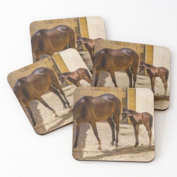 Item preview, Mare and Foal Standing in Sunlit Stable Eating Hay Beside Stone Barn Wall designed and sold by Nmallia.