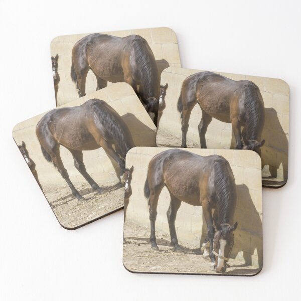 Item preview, Mare and Foal Standing in Sunlit Stable Eating Hay Beside Stone Barn Wall designed and sold by Nmallia.